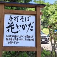 金蛇水神社＆ランチ（花いかだ）