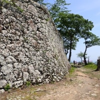 佐伯城 豊後国　山上の石垣の城郭遺構を堪能　東海古城研究会の見学会で訪れました