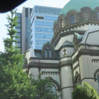 旧古河庭園のバラ