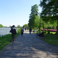 スカイツリーもみえるロケーション抜群の公園！！