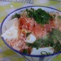 倉科カナさんがテレビで、お勧めのごはん料理を紹介していましたーおいしい猫まんまでした