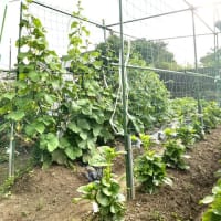 6月25日（水）③