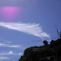 天使の羽雲に紫色の光が エンジェルカードリーディング ヒーリングサロン プリズム 天使の羽雲に紫色の光が エンジェルカードリーディング ヒーリングサロン プリズム