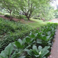 馬渡はにわ公園へ