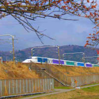 「ディズニー新幹線」快走