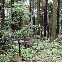 諫早の山 2024.07.12 井樋ノ尾岳