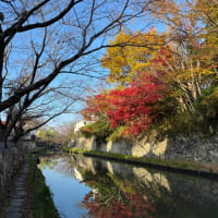 今日いち-2024年12月2日