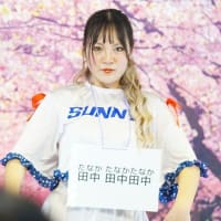 ストーリー仕立てで⭐️