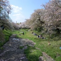 川沿いを歩いた