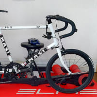 MASI Mini velo cafe racerいじっています！