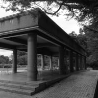 神代植物公園にて