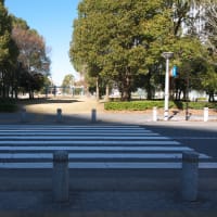 １月のお台場：ウエストプロムナード散策道とテレコムセンター駅周辺　ＰＡＲＴ２
