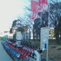 臨海副都心で働く自転車