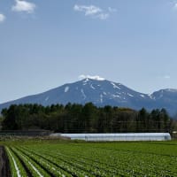 25/05/07  山小屋生活開始です…。13日目と14日目…。