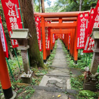 ひとり倶楽部活動開始！猛暑だけど佐助稲荷神社に御参り！