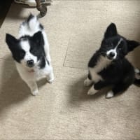 ４から２へ