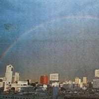 深夜高速バスの事故、会社の社長のコメント「居眠りした運転手が悪い」ごもっとも！一番の悪は行政だ。