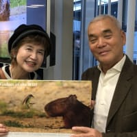 烏滸がましい