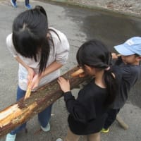 衣笠児童館様　北山杉体験にお越しになりました。