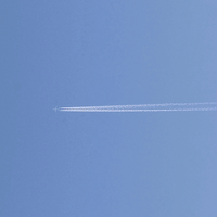 飛行機雲 ・ ノミノツヅリ ・ ヘビイチゴ収穫