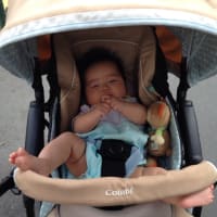 3m7日～ベビーカー購入！～