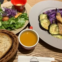 チェリまほ