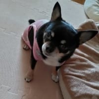 笑ってゴメンナサイ