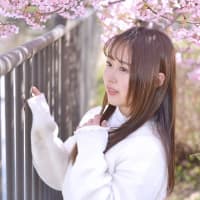 みゃ＠京都-淀-河津桜