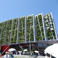大阪・関西万博に行ってきました。