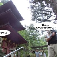 夏旅行！⑧奥日光～榛名神社