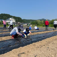 緑豊かな高館下
