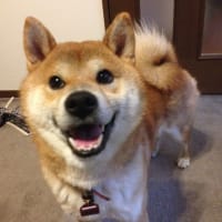 頬袋