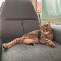 態度がでかい。