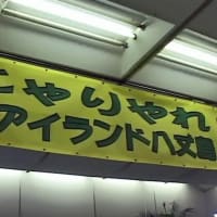 八丈小島もあるく　よみがえれ　三宅島応援ツアー　１回目　羽田空港