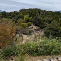 今日いち-2024年10月24日