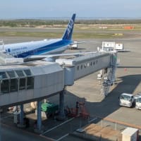 2025.5　北海道滝上（たきのうえ）の満開の芝桜を観る旅