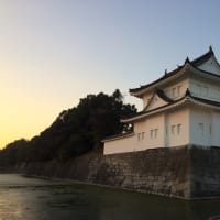 癒しの時間です（２９）