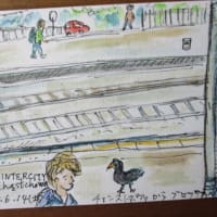 懐かしのブロツワフ　懐かしの友人　日帰り