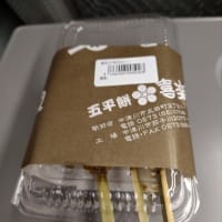恵那スケート旅行②