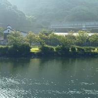 真夏の別邸わんこ日和　湯浦川から