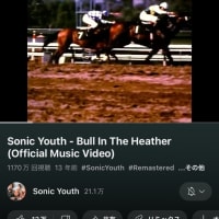 Sonic Youth Bull In The Heather