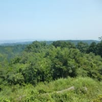 あっという間に７月（　＆　老人とニャン　）の巻