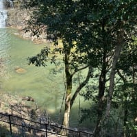 願龍寺滝の遊歩道は、水没していました。