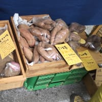 神崎町 / 発酵 蔵フェスタにて 