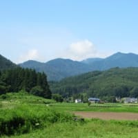 寝起きの冴えない日々...