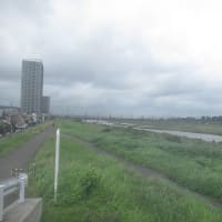 雨雲レーダーを確認し所用を済ます散歩