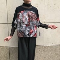 ドイツ生地の一点もの！シフォンカットソー