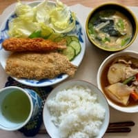 サボテンの花