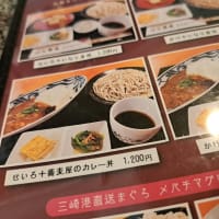 手打ち はな蕎麦 (辻堂)