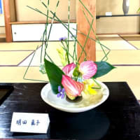 5月5日（祝）に国宝不動院・広島で井田忠社中の花展に出瓶